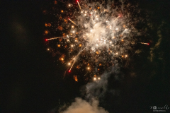 DSC_0641